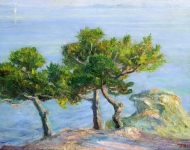 Pine Trees in Halki